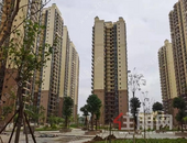 城市新市民 同圆“安居梦”共筑“幸福家”