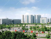 玉林入选！**文化和旅游消费试点城市名单公布！