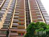 臻心臻意 恭迎回家 | 大安精通•悦府 3栋交房活动圆满落幕