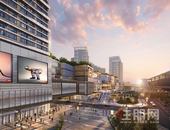 未开街先火爆！自贸港海量“财富”正流向这里