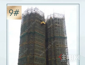 【东鼎滨江城】11月家书，美好共鉴匠心筑造！