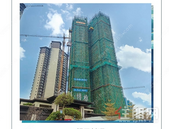 平南金科·博雅丨一月家书 匠心启新岁 温暖寄家音