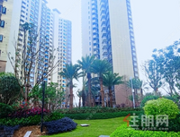 碧桂园·城市之光十二月家书｜用一整年的美好，温暖时光里的守候