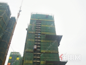 1月家书,团圆年味渐浓,云星钱隆御园礼献家音