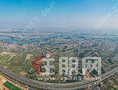 过完春节后！卖得* 好的是哪些楼盘？