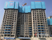 碧桂园·城市之光2月家书│暖春家书至 美好亦可期