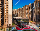 家在优校旁，学霸有一套！优质教育“邻”距离