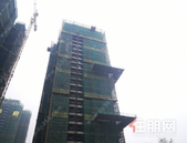 云星钱隆御园｜三月家书，万物萌新,共鉴美好“家”音!