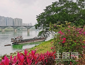龙凤江城｜依傍着江畔美景，下楼就是滨江公园，首付3万起，谁不想拥有一套呢？