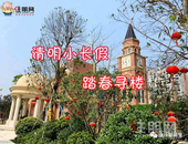 放肆购|清明节买房去 钦州这几个楼盘不得不看