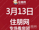 3月13日贵港置业南宁看房团：绿地东盟国际城——招商十里云裳