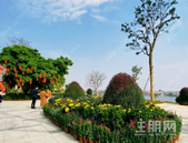 送春联，送祝福！快来华盈·壹品江山免费领取您的新年春联吧！