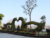 华盈·壹品江山丨千千千张电影票免费送！不限影片、不限场次！