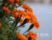 华盈·壹品江山醉美滨江公园摄影大赛，等你来参加~