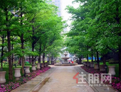 凯旋国际 | 自然生态园林景观，送给孩子的成长礼物！