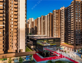 荣和公园里，*美四月天，小户型予女神人生大精彩