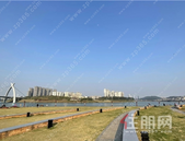星海银沙: 五象新盘, 毗邻地铁4号线, 一线瞰江房筹备中