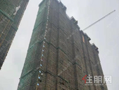 【贵港大唐世家】3月家书丨春光无限好，细节见匠心！