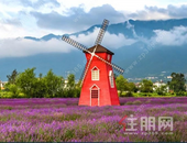 五一南宁去哪玩？这里500米风车长廊、森林健步寻宝、特色美食街、轻奢露营等你来！