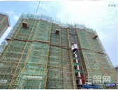 金科集美江上｜芳菲四月天 春风入“家”境