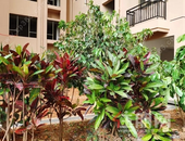 龙凤江城今年买今年住？速看工程进度播报！