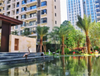 财富广场·名门天境 民族大道上的塔尖藏品