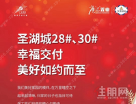 圣湖城28#、30#幸福交付美好如约而至