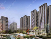 一席珍馐，谢宴武鸣|天美·香山尊府致谢逾100位准业主厚爱！