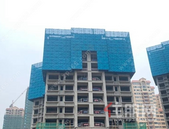 夏意渐浓，向阳新生|碧桂园金科·博园府5月家书，请君启阅