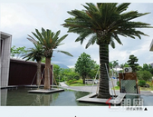 【贵港交投·御珑湾】体育中心旁，领略新加坡度假式园林