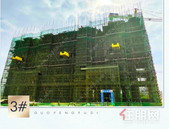 圣世东林府|一月家书至 共鉴幸福家音