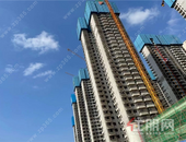 西乡塘*美园林 一朝盛放全城心动