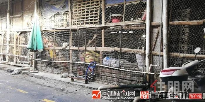 民主南路禽畜批发市场设施老化