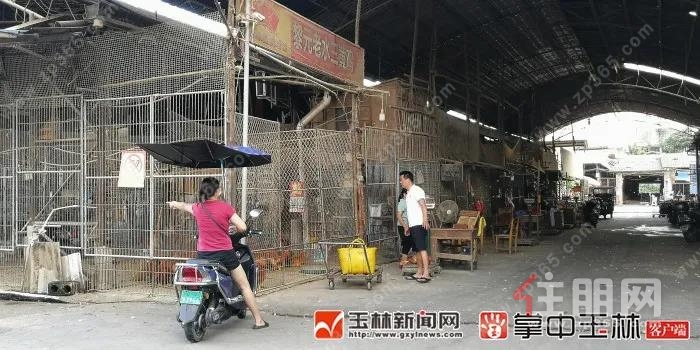 民主南路禽畜批发市场