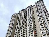 京茂苏园丨六月家音，幸福可期