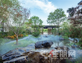 为何双珑原著如此火爆？ 南宁顶豪们剧透背后真相