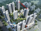 【平南碧桂园】**一次与公园对望的机会，千万别错过！