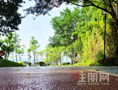 未来的平南要大变样，海绵城市**出炉！