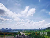 铜鼓岭小学总平图曝光! **48个班! 有望在明年投入使用