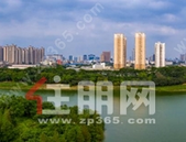 在摩尔庄园之外，年轻人找到了“会装修的邻居” ，当代人的装修难题，在社区里有了解决途径