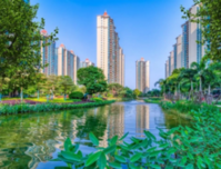 越来越多人选择旅居北海的原因找到了