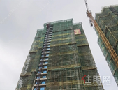 七月家书丨“家”音可期，幸福已至！