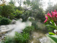 【盛邦中山郡】夏日里的江南名园，更是一番别样风情