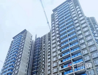 碧桂园城市之光│8月家书 时光筑美好 家音如期至