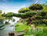 鑫炎·桃花源「水云居」亲水院墅，致敬贵港澎湃大时代