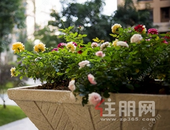 如何把握好“一碗汤的距离”,快来围观吧！