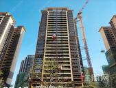 八月家书丨暑去秋来，渐入“家”境