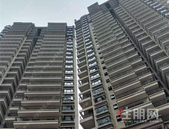 实踩！网传“牵手楼”的真相来了！