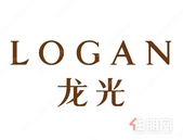 中国企业500强发布，龙光跃升34名至第221位