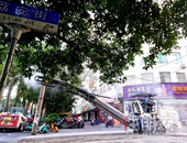 工地一片忙碌！一批背街小巷很快靓起来